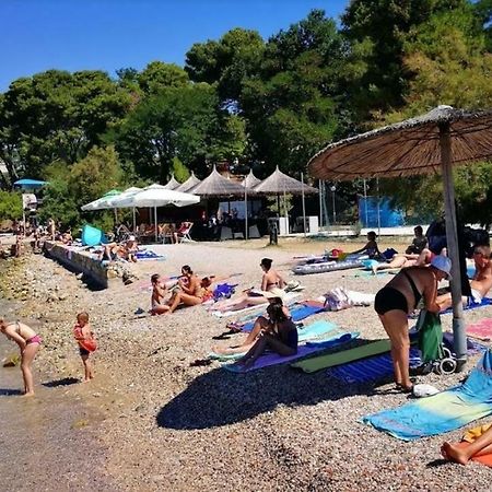 Apartment Vesna Zadar Eksteriør bilde